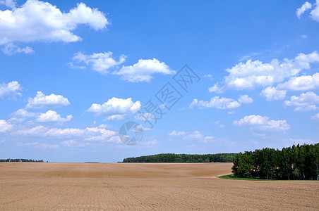 夏季风景蓝色爬坡场地乡村植物免版税绿色天空股票草地图片