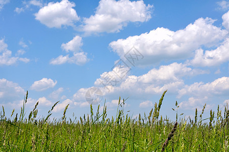 夏季风景天空乡村蓝色绿色库存免版税场地植物爬坡股票图片