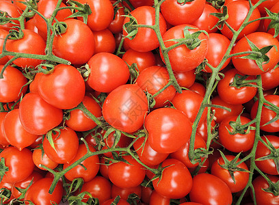 番茄背景红色收成绿色盘子民众食物饮食美食蔬菜营养图片