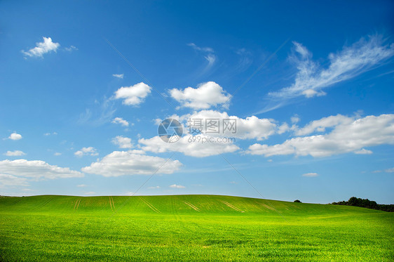 横向景观植物牧歌公园娱乐风景场景远景地平线爬坡牧场图片