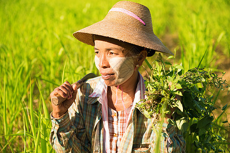 传统的亚洲女性农户图片