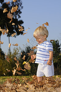 年幼婴儿在落叶上玩耍图片