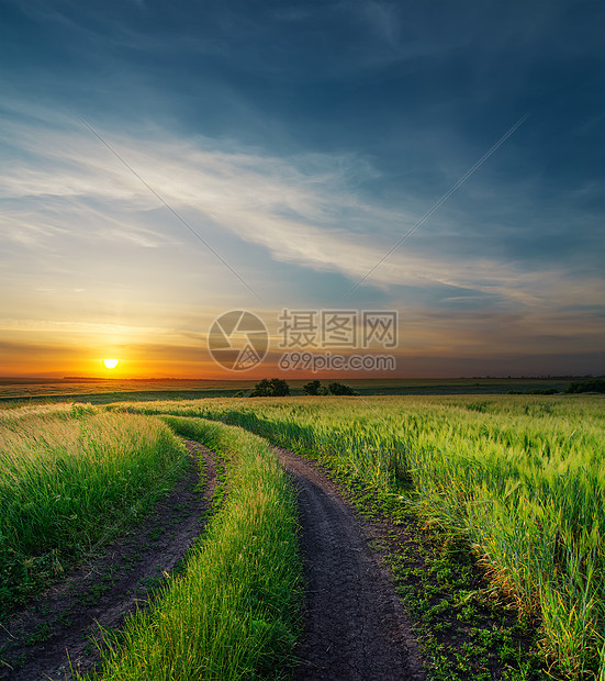 绿田附近的农村道路日落天空阳光国家地平线收成晴天辉光耳朵农场小麦图片