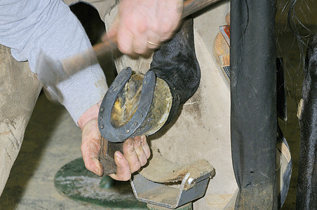 骑马鞋的Farrier马蹄铁专家刷子金属工匠围裙手工具锤子铁匠工艺图片