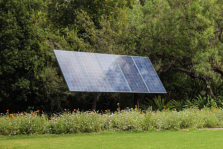 树前的太阳能面板生态经济阳光绿色太阳创新树木控制板细胞技术图片