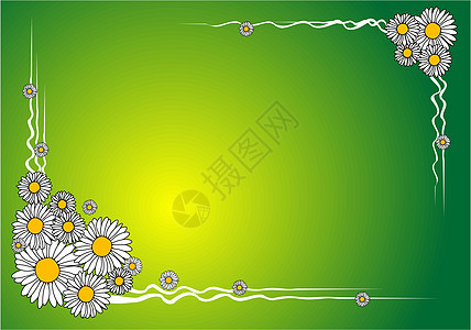 春天的花卉背景植物角落墙纸女朋友网络边界婚礼插图雏菊女士图片