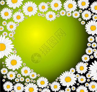 由花朵创造的绿色心图片