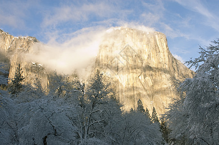 日落时的El Capitan树木山脉花岗岩名声辉光风景公园国家岩石蓝色图片