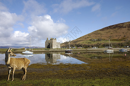 苏格兰Lochrananza城堡排列潮汐历史废墟村庄防御桅杆港口小岛小艇图片