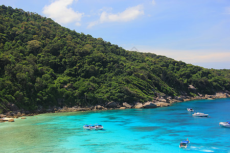 海洋岛屿中的岛屿性质漂浮岩石山脉游客乔木森林水景旅行落叶图片