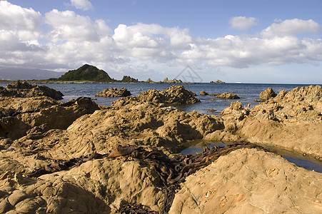 坚崎的海岸线作物海景渡船海洋水池日志岛屿海藻直道岩石图片