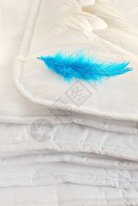 白白色重量床单羽毛棉布蓝色折叠柔软度羽绒被寝具图片