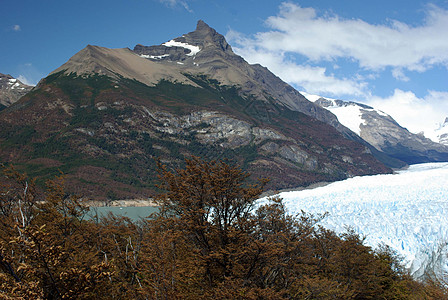 阿根廷佩里托莫雷诺冰川旅游顶峰木头冰山荒野旅行森林风景图片