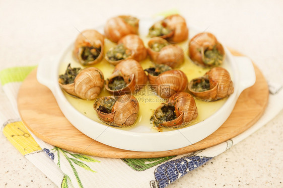 螺厨师花园食物草本植物午餐香菜文化烹饪香料美食图片