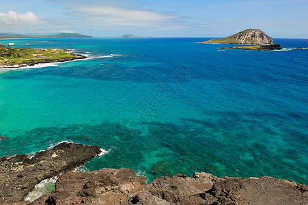 夏威夷奥胡海岸外太平洋海洋水域(夏威夷)图片