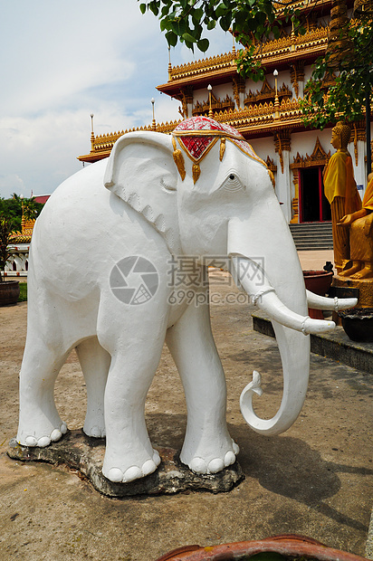 白象雕像雕塑生活旅游雕刻旅行寺庙艺术力量数字文化图片