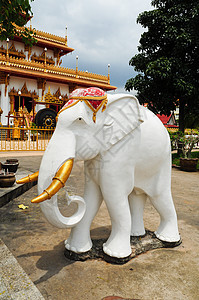白象雕像旅行寺庙古董力量雕塑旅游宗教艺术财富文化图片