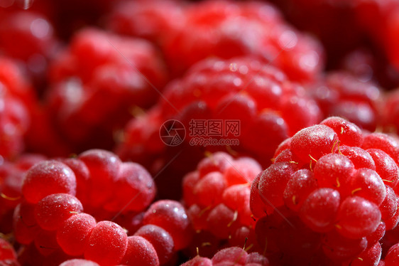 树莓草莓诱惑饮食水果生产红色覆盆子味道宏观美食甜点图片