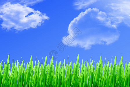 蓝天空上的绿草图片