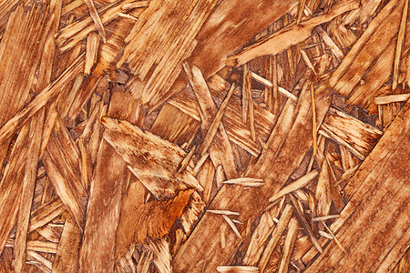 木质单板地面地板硬木异国风格松树墙纸木头木材图片