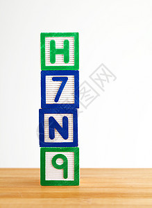 H7N9 玩具块立方体知识鸟类幼儿园字母疾病三角形游戏生长婴儿图片