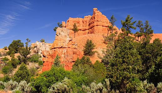 犹他州锡达裂间红岩形成砂岩爬坡风化多云山脉沙漠分层全景绿树峡谷图片