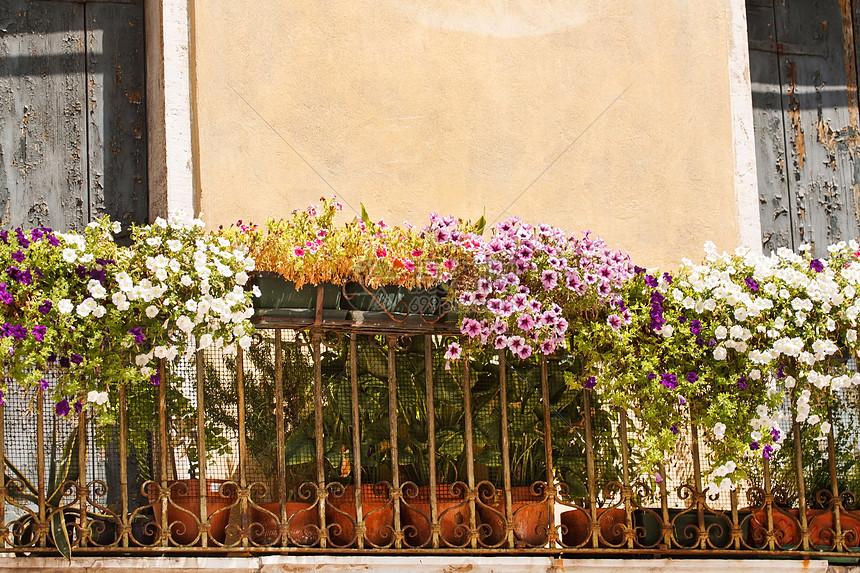 鲜花阳台天堂黏土太阳旅游紫色假期植物建筑房子旅行图片