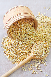 小麦植物药品金子食物粮食粒子种子大麦谷物浆果图片