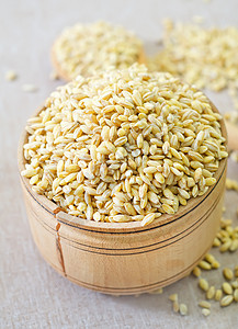 小麦食物早餐药品金子种子薏米植物大麦收获浆果图片