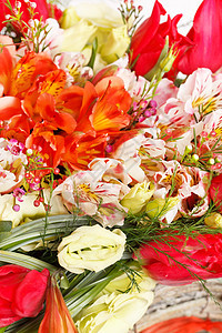 篮子中美丽的花朵红色季节叶子礼物郁金香植物学花束绿色园艺团体图片