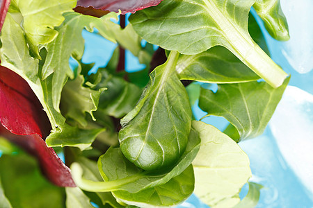 新鲜沙拉叶炊具盘子立方体沙拉火箭芥菜花园蔬菜绿色蓝色图片