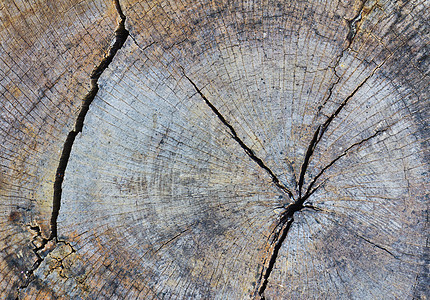 旧木质桌子条纹木头裂缝环境粮食木工橡木森林木板图片