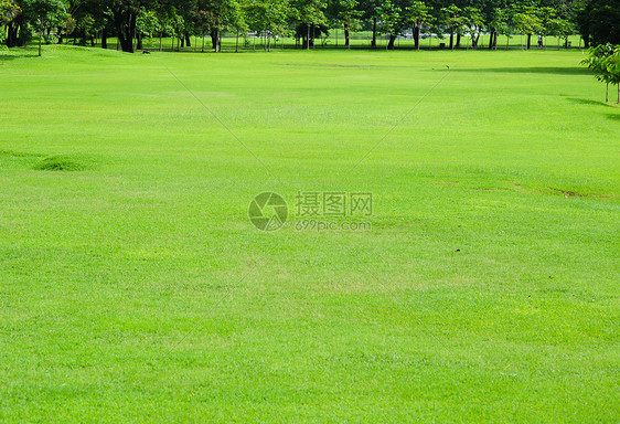 绿绿地场景季节草地农场土地太阳草原阳光牧场生长图片