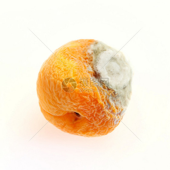 桃子上的铸模水果模具霉味图片