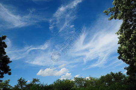 蓝色天空中的白毛云臭氧气象环境天气场景天堂云景自由阳光柔软度图片