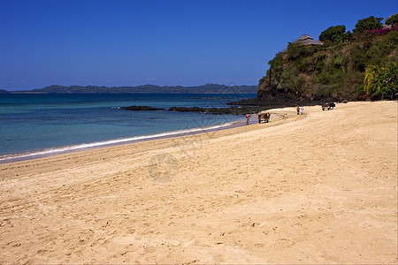 棕榈岩石枝山坡环礁湖波浪棕榈木头房子岩石海滩旅行蓝色脚步海岸线图片