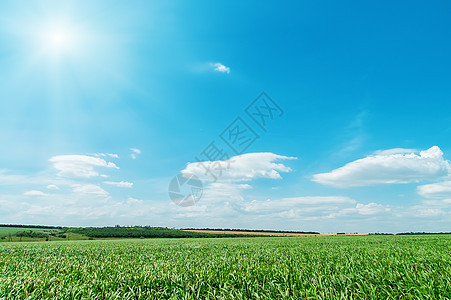 绿地和蓝天空与太阳天空农场世界国家地平线生长环境农村天堂场景图片