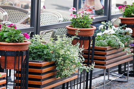 锅中的花朵花园街道红色座位家具休息粉色场景园艺桌子图片