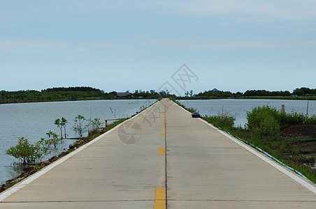 泰国的农村道路植物海岸线石头半岛场地岩石曲线旅行国家全景图片