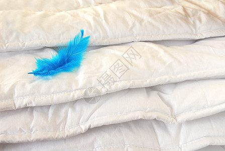 白织物羽毛棉布寝具点差亮度家庭纺织品质量重量图片