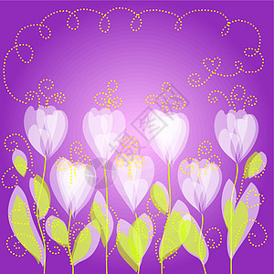 花卉背景生日花瓣红花植物紫色框架叶子庆典郁金香花束图片
