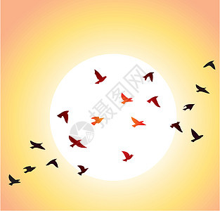 飞鸟和明太阳图片