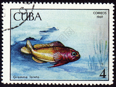 邮票印章上的鱼格拉姆洛雷托图片