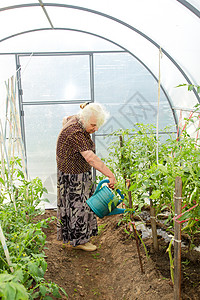 住在温室的老太婆个人工作花朵喷壶女士祖母头发园林情节退休图片