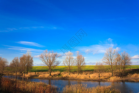 阳光明媚的秋天风景池塘乡村农村绿色晴天国家白色黄色蓝色季节图片