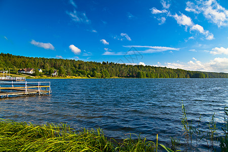 湖边的风景假期日光水平游泳森林公园绿色乡村摄影农村图片