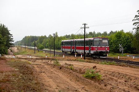 穿越森林的铁路客车摄影柴油机旅游火车风景公共汽车运输水平旅行日光图片