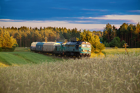 运输柴油列车后勤铁路小麦货物机车车皮力量联运环境风景图片