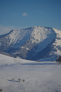 阳光明媚的寒冬山松树木头冰川旅行森林降雪天空季节气候蓝色图片