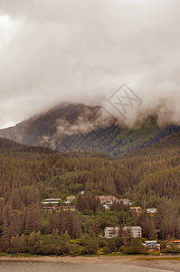 Juneau海岸线山脉树木叶子图片